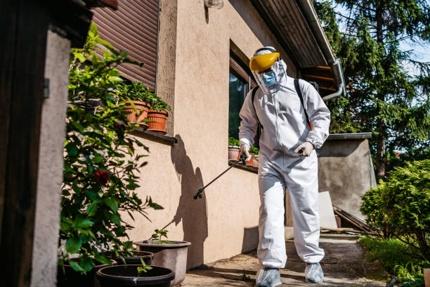 Best Best Pest Control Companies  in Chelsea, MI