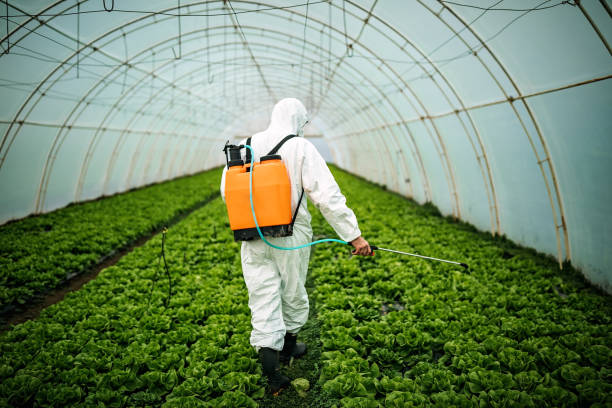 Best Pest Control Near Me  in Chelsea, MI