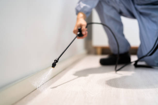 Reliable Chelsea, MI Pest Control Solutions