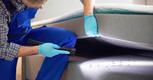 Best Flea Control Services  in Chelsea, MI