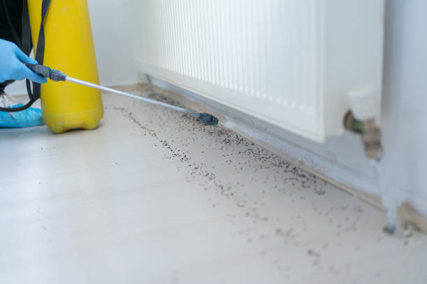 Best Exterminator Services  in Chelsea, MI