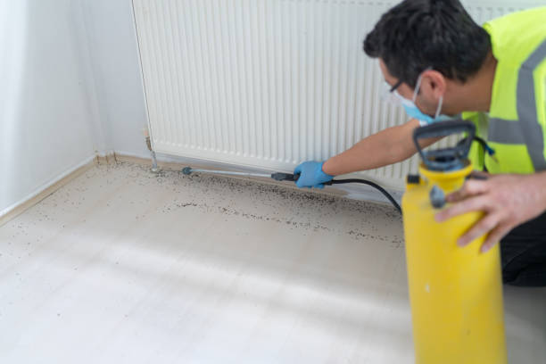 Flea Control Services in Chelsea, MI