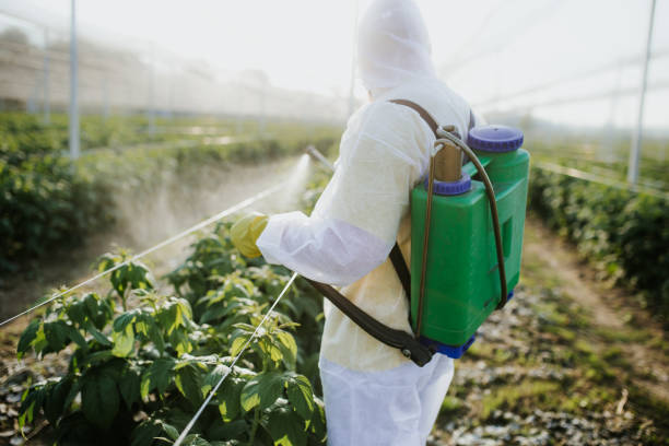 Best Cockroach Control Services  in Chelsea, MI